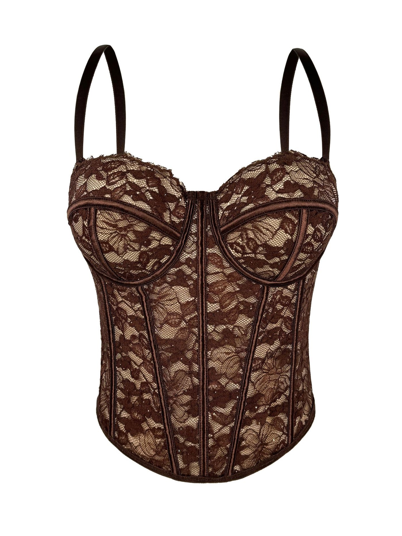 Sheer Rose Lace Bustier